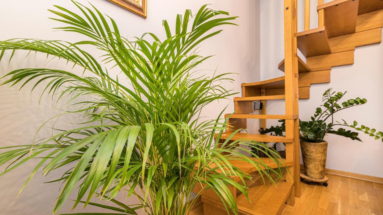 Maya'S Flats & Resorts - Old Town Dluga 72 Maisonette 格但斯克 外观 照片